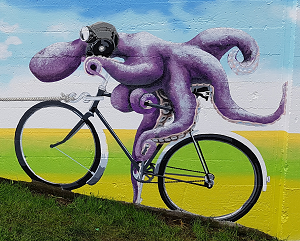 octopus