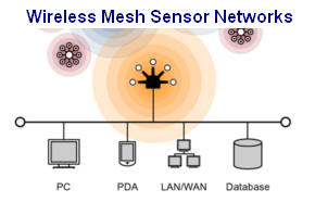 Wireless Mesh Sensor Networks