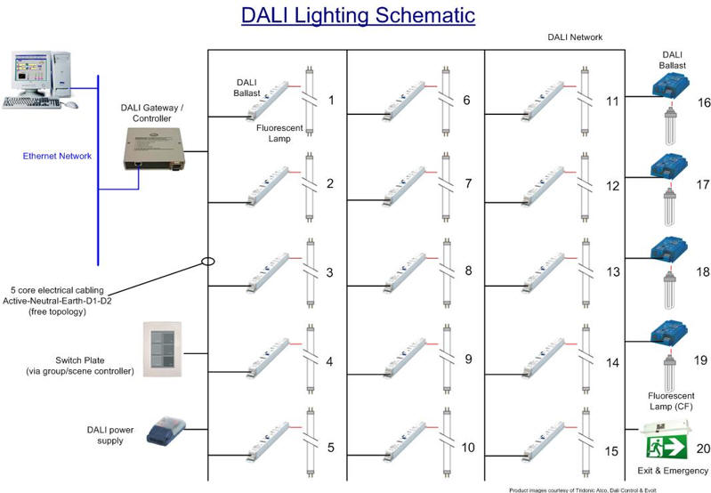 DALI Lighting Schematic