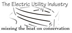 The Electric Utility Industry - Missing the Boat on Conservation