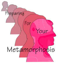Preparing for Your Metamorphosis