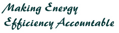 Making Energy Efficiency Accountable