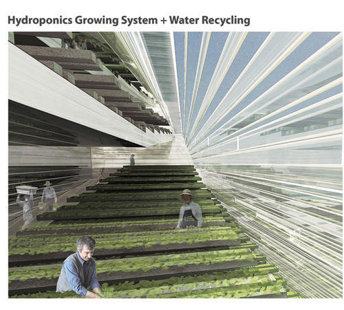 Hydroponics Growing System + Water Recycling
